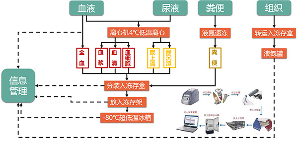 图片12.jpg 图片12.jpg