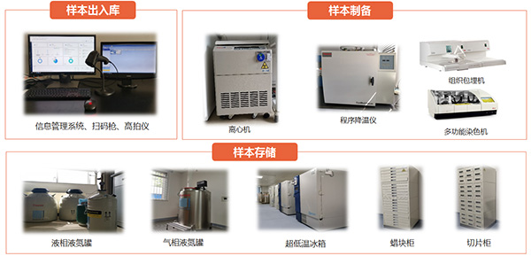 图片13.jpg 图片13.jpg