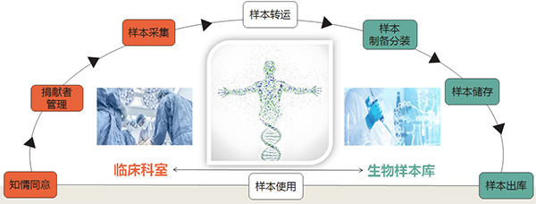 图片15.jpg 图片15.jpg