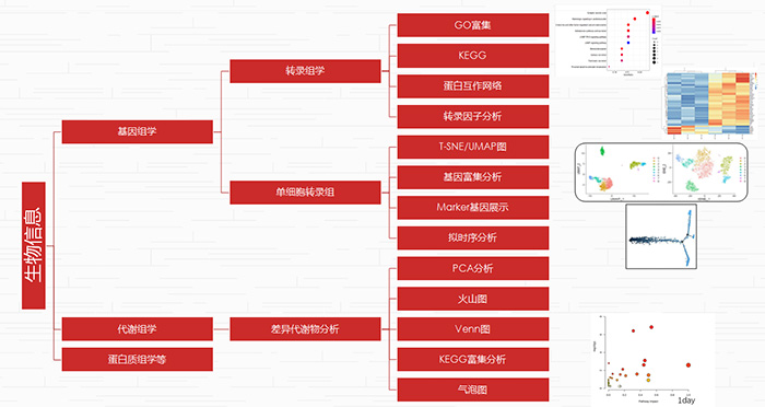 图片23.jpg 图片23.jpg