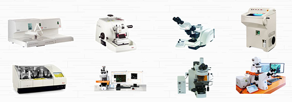 图片24.jpg 图片24.jpg